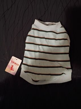Mint Green Striped Dog Sweater